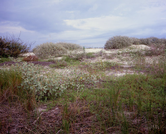 Christmas Creek