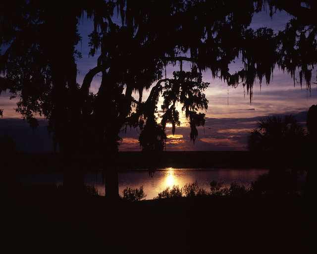 Brick Hill River near Plum Orchard