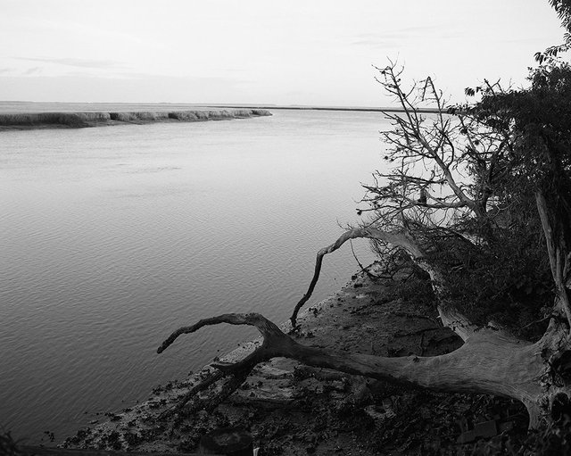 Brick Hill River near Plum Orchard