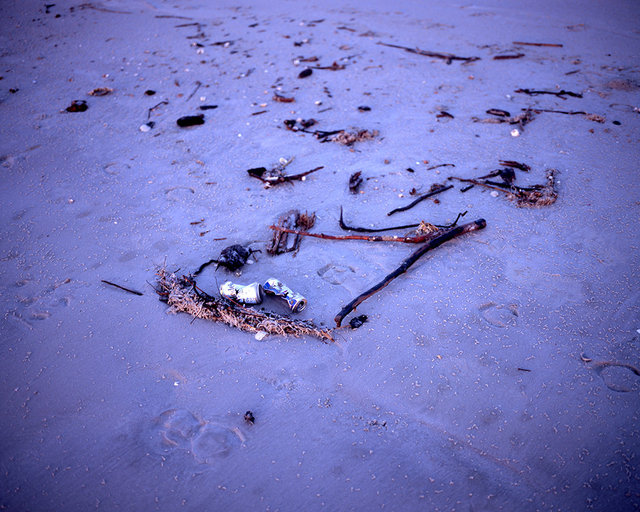 Dungeness Beach