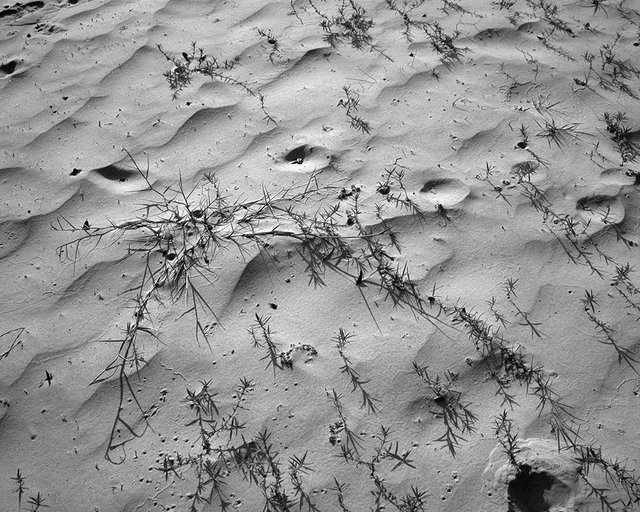 Wind and Rhythm #3