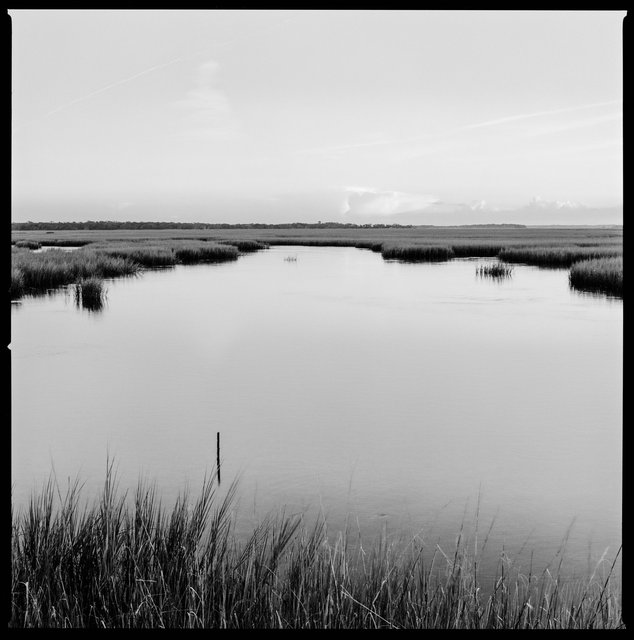 Marsh and Oyster Beds at High Tide, South End, 2018