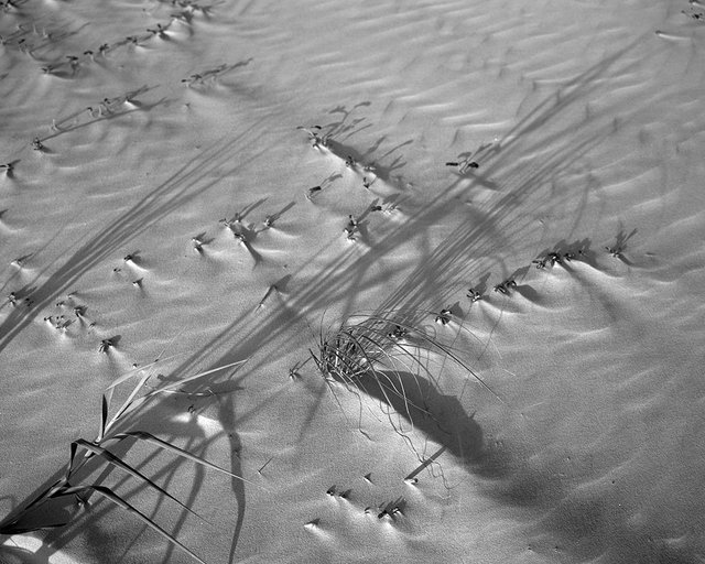 Wind and Rhythm #7