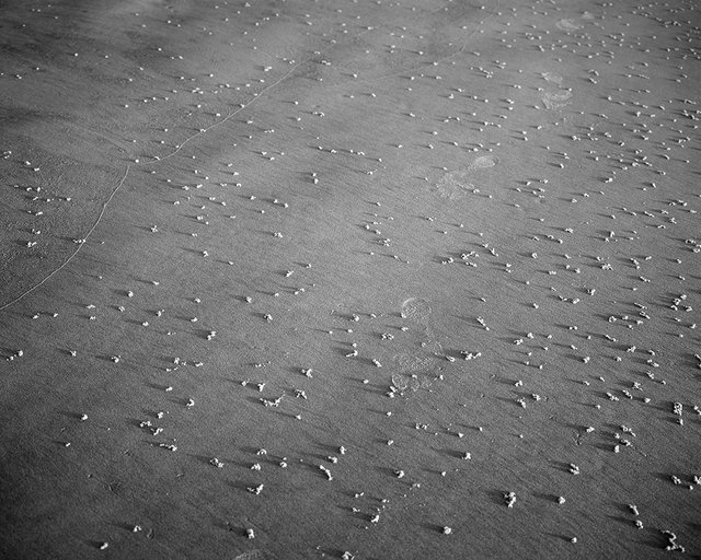 Wind and Rhythm #6