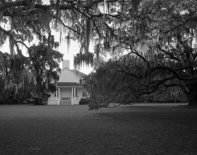 Ruins and Artifacts - Plum Orchard Mansion, 2016