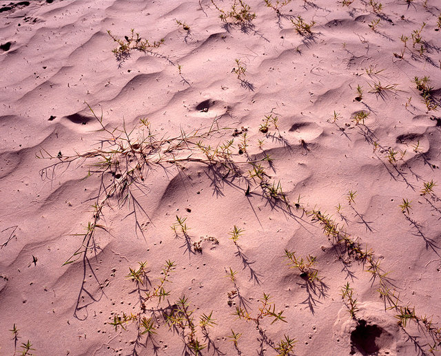 04_sand16 copy.jpg