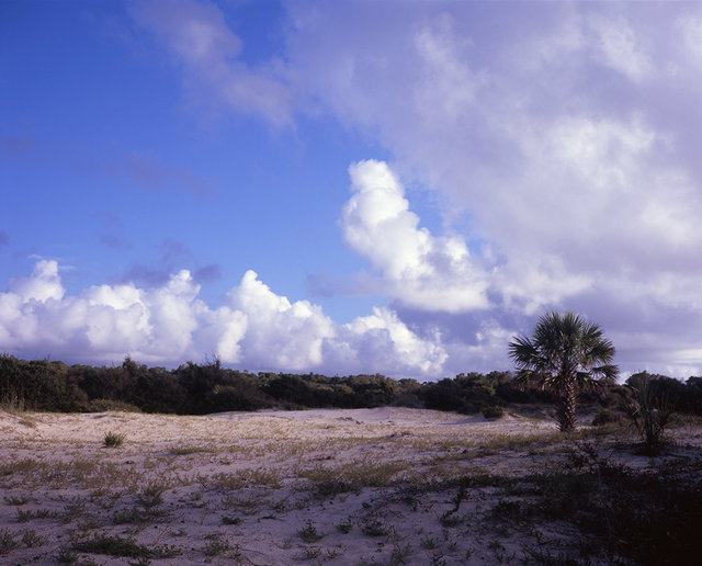 Beach at Willow Pond Trail