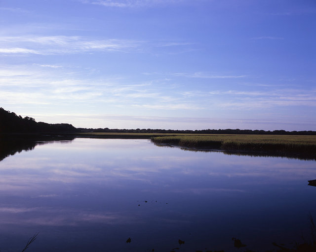 Salt Marsh near Dungeness