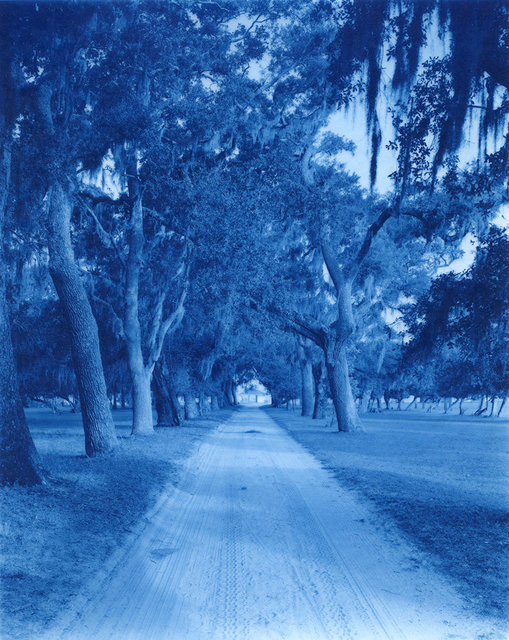 Road to the Dungeness Ferry Dock, 2019 