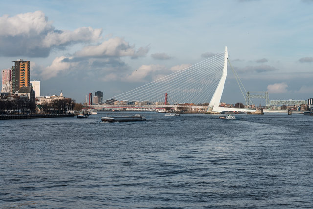 Rotterdam, Erasmus Bridge