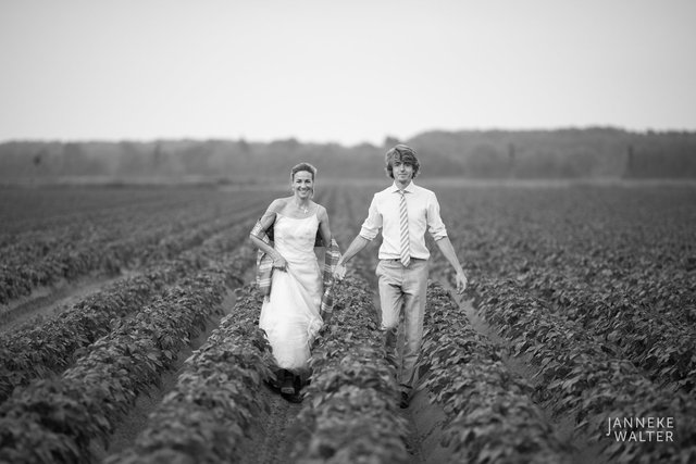 Portretfoto bruidspaar in aardappelveld © Janneke Walter, fotograaf Utrecht De Bilt, loveshoot, bruidsfotografie, trouwfotografie