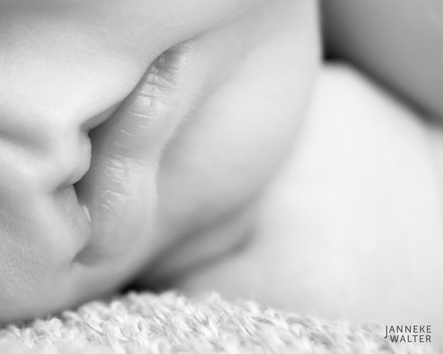 Foto_newborn_baby_mond_newbornfotograaf_Janneke_Walter_Utrecht_De_Bilt.jpg