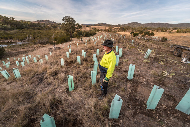 Scottsdale River Restoration © Annette Ruzicka 13.JPG