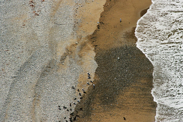 39460015crop01edit01_3x2.jpg