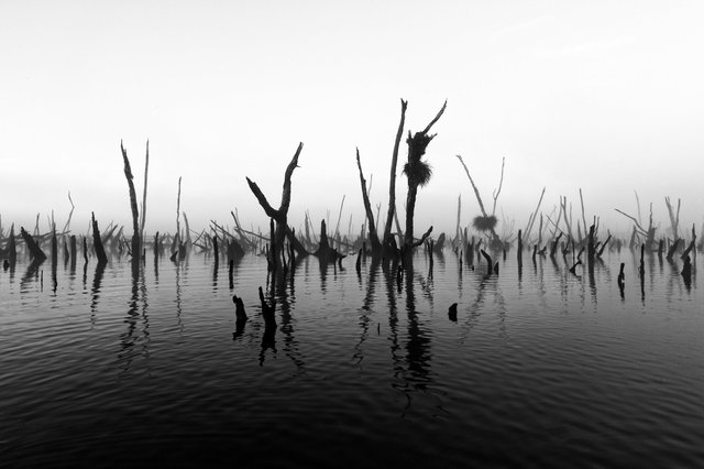 Rio Chepu, Cile, 2017