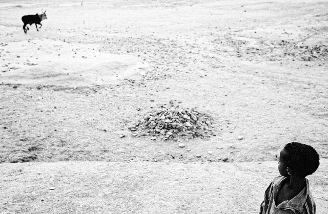 Tigray, Etiopia, 2008