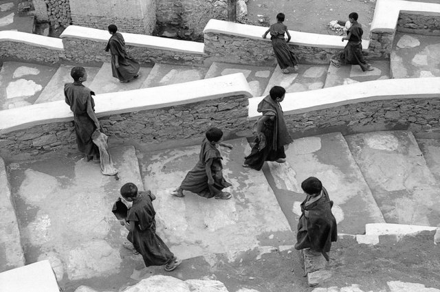 Shey, Ladakh, India, 1993