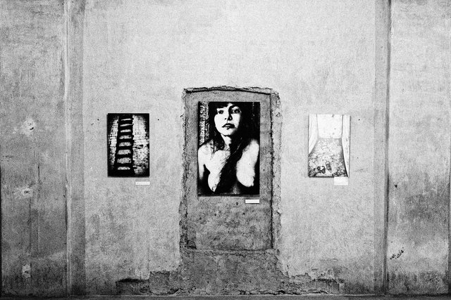 Cortona, Italia, 2014