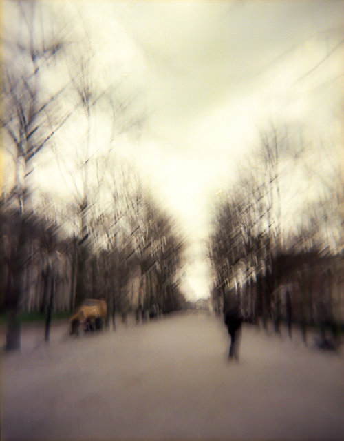 The Hague