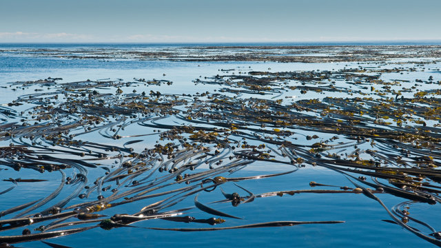 CANADA 08-43-Edit.jpg