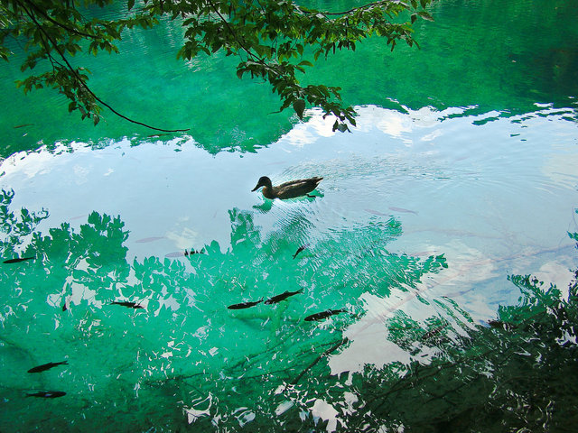 CROATIA 2011-11.jpg