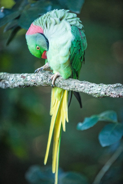 _DSC3865-Edit.jpg