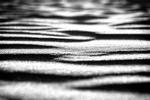 _DSC0029-Edit-Edit-2.jpg