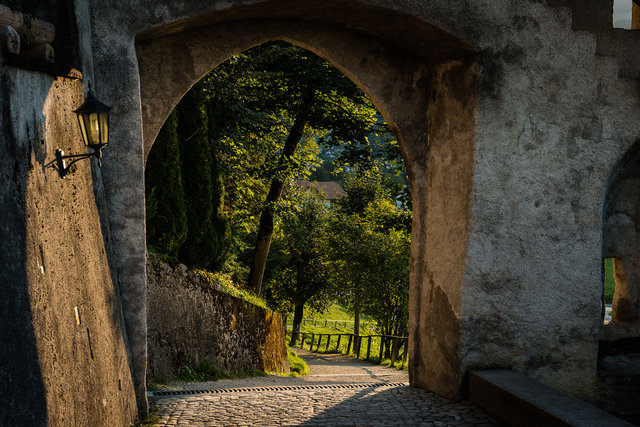 _DSC9915-Edit.jpg