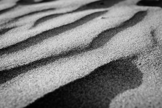 _DSC0032-Edit.jpg