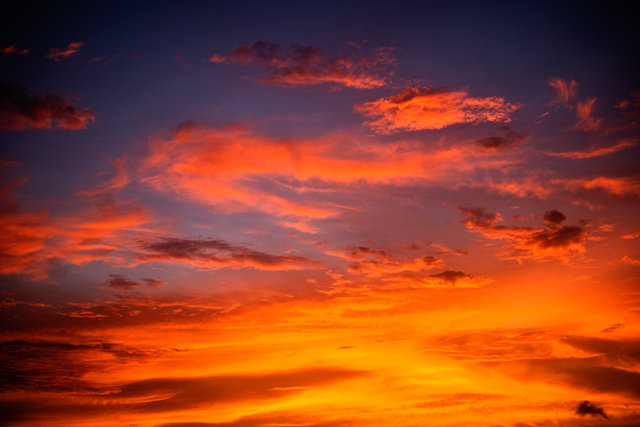 _DSC0805-Edit.jpg