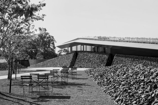 AidlinDarling-TheProw-AR-2496-BW.jpg