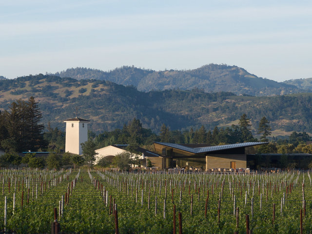 Mondavi-DJI-0352-©AdamRouse.jpg