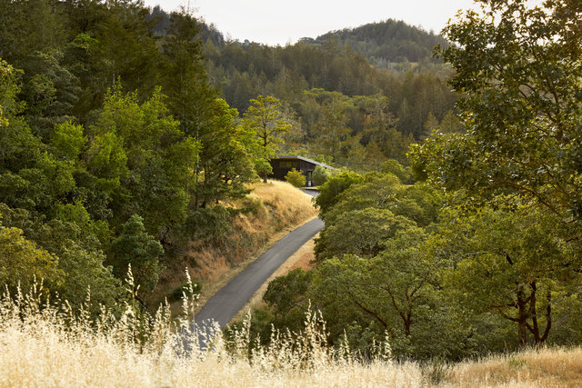 Feldman-SonomaRetreat-7793.jpg