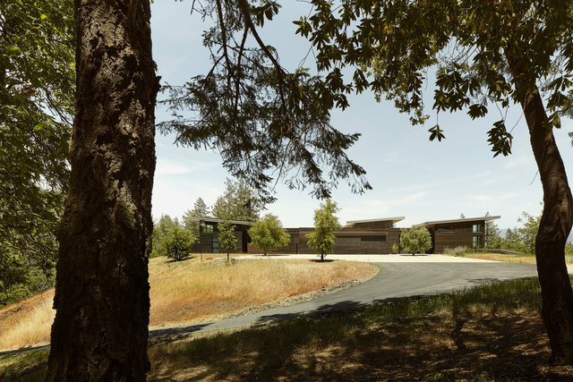 Feldman-SonomaRetreat-3337.jpg