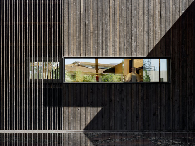 Mondavi-2159-©AdamRouse.jpg