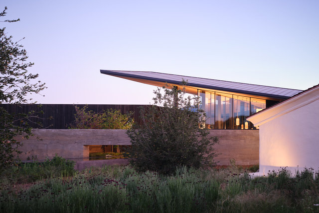 Mondavi-1539-©AdamRouse.jpg