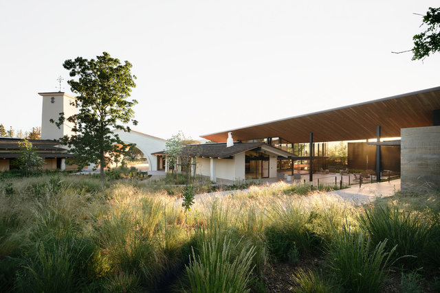 Mondavi-2605-©AdamRouse.jpg
