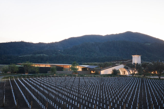 Mondavi-DJI-0316-©AdamRouse.jpg
