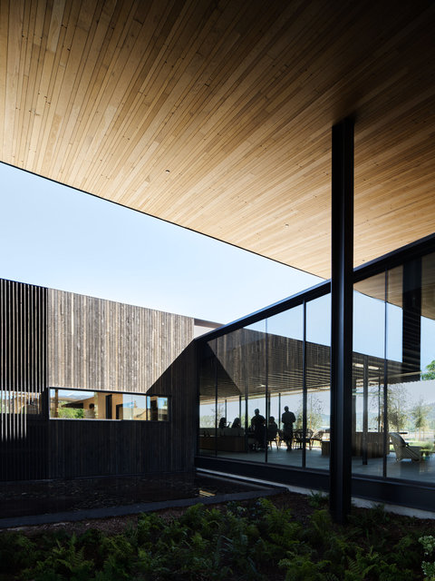 Mondavi-3168-©AdamRouse.jpg