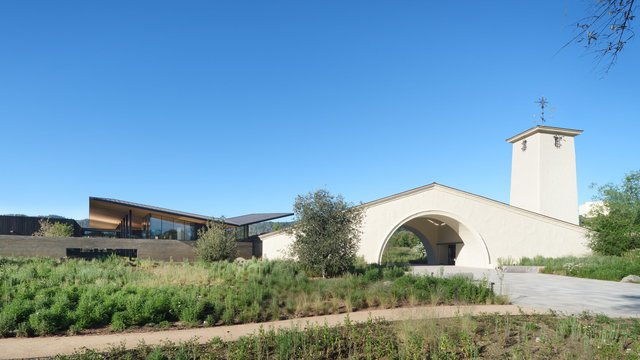 Mondavi-2843-©AdamRouse.jpg