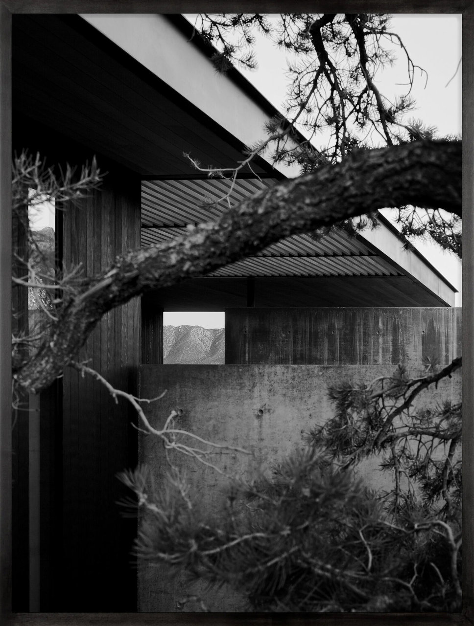Adam Rouse / Photography