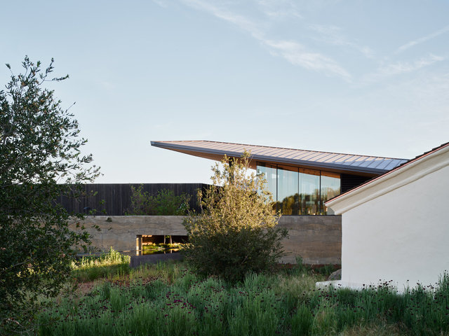 Mondavi-2481-©AdamRouse.jpg