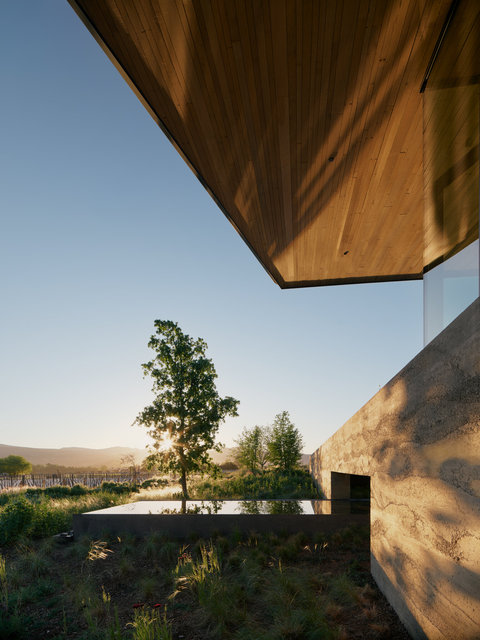 Mondavi-2589-©AdamRouse.jpg