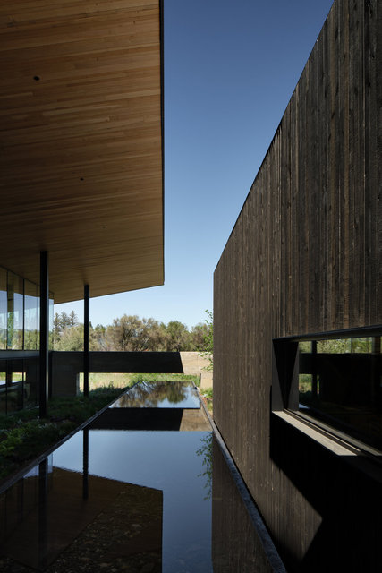 Mondavi-3140-©AdamRouse.jpg