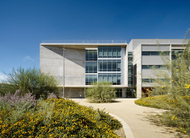 Adam Rouse : Photographer