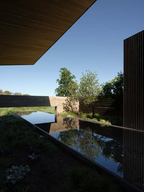Mondavi-3162-©AdamRouse.jpg