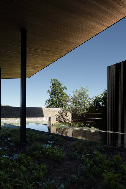Mondavi-2163-©AdamRouse.jpg