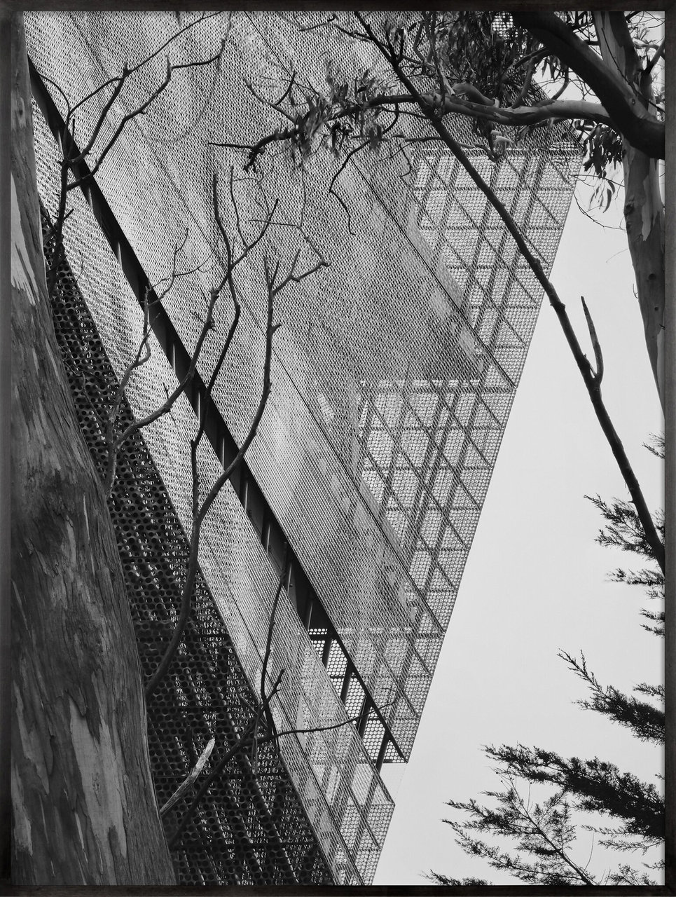 Adam Rouse / Photography