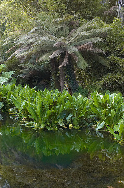 The Lost Gardens of Heligan