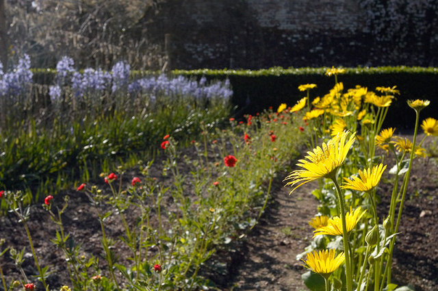 The Lost Gardens of Heligan